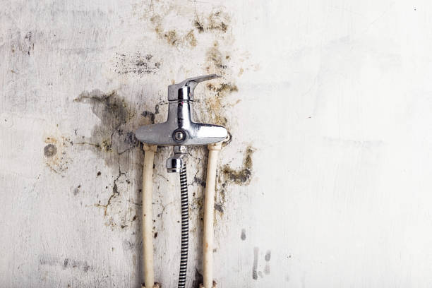 Best Emergency Mold Removal  in Pleasant Hill, OH