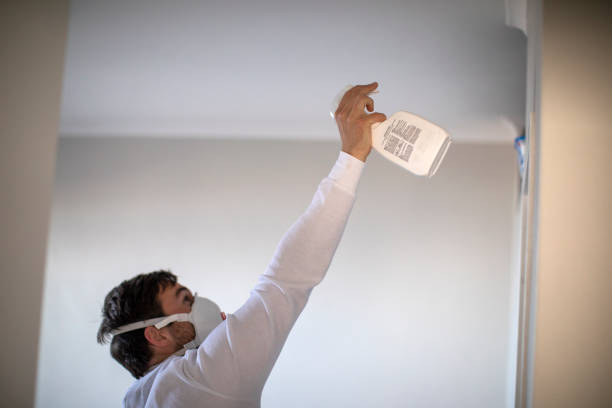 Best Attic Mold Removal  in Pleasant Hill, OH