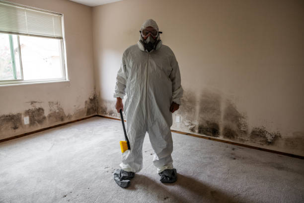 Water Damage Restoration in Pleasant Hill, OH
